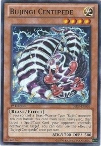 Bujingi Centipede