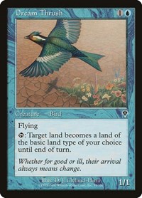 Dream Thrush, Invasion