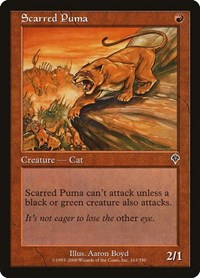 Scarred Puma, Invasion