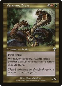 Voracious Cobra, Invasion