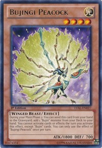 Bujingi Peacock