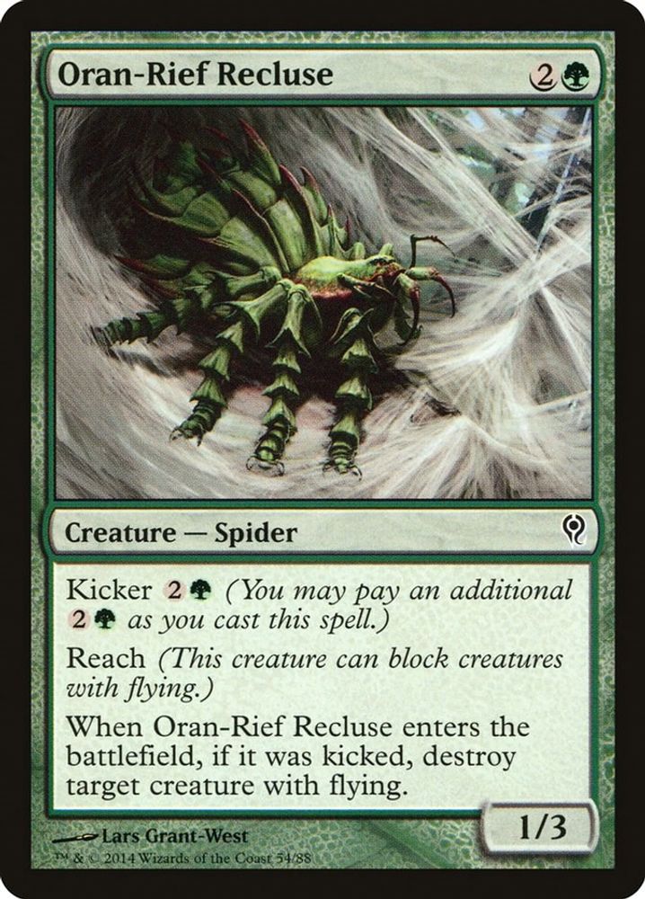 Oran Rief Recluse