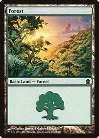 Forest (317), Commander