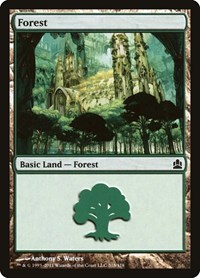 Forest (318), Commander