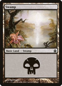 Swamp (307), Commander