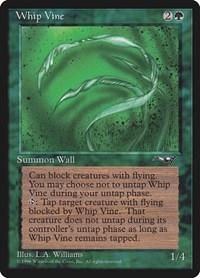 Whip Vine, Alliances