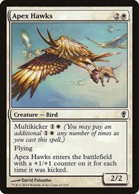 Apex Hawks, Conspiracy