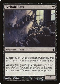 Typhoid Rats, Conspiracy