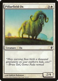 Pillarfield Ox, Conspiracy