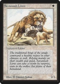 Savannah Lions, Beta Edition