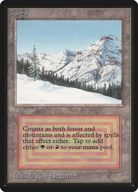 Taiga, Beta Edition