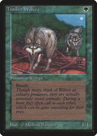 Timber Wolves, Beta Edition
