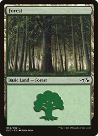 Forest (030) (EVG), Duel Decks: Anthology
