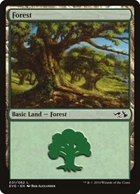 Forest (031) (EVG), Duel Decks: Anthology