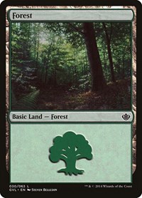 Forest (030) (GVL), Duel Decks: Anthology