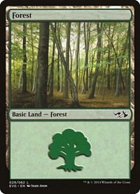 Forest (029) (EVG), Duel Decks: Anthology