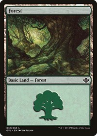 Forest (031) (GVL), Duel Decks: Anthology