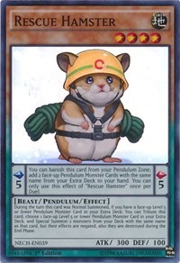 Rescue Hamster