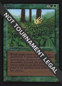 Kudzu (IE), International Edition