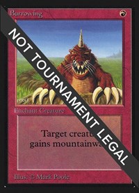 Burrowing (CE), Collector's Edition